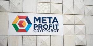 Meta Profit
